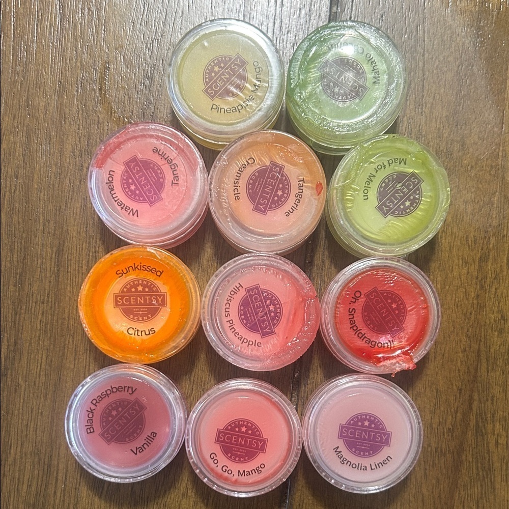 Scentsy summer 2022 wax melt samples 25 count